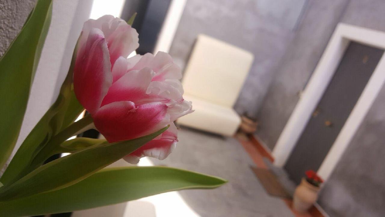 I Cappuccini Rooms Catania Bagian luar foto